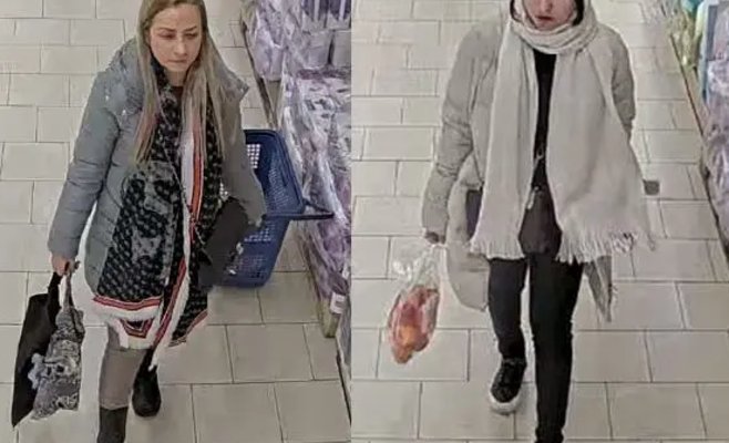 Иностранки промышляют в магазинах Устецкого края и обворовывают в основном пенсионеров