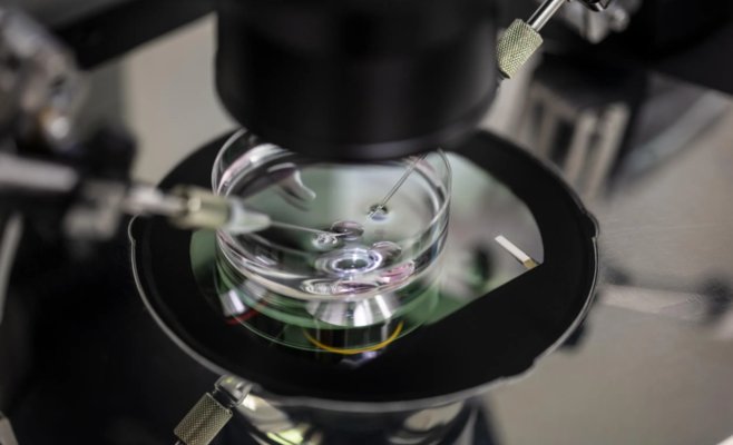 Только десять раз и множество анализов. Доноры спермы в Чехии проходят строгий контроль