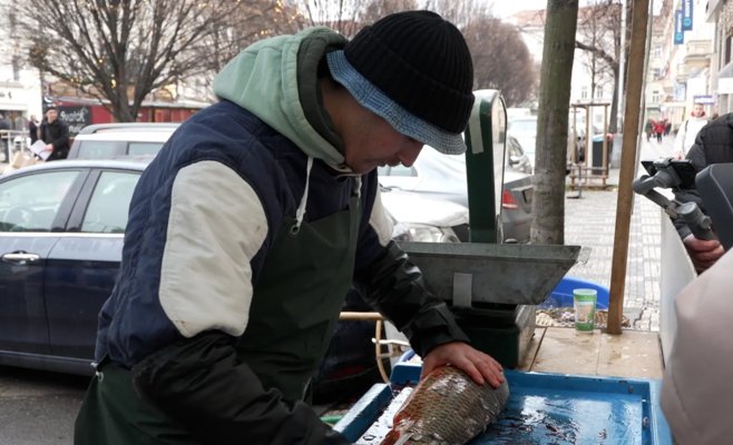 Ежегодный образ чешского Рождества: продажа карпов в кадках — тяжелое испытание для рыб