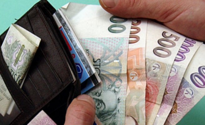 Внешний долг Чехии вырос. Основная часть приходится на частный сектор