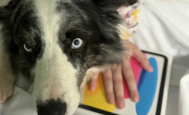 Суровый снаружи, с мягким сердцем: каждый год со своими учениками он дарит радость детям с онкологией