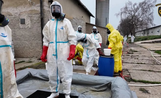 Птичий грипп продолжает распространяться: новый очаг выявлен в районе Гавличкув-Брод