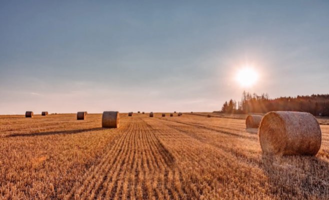 2025 год в Чехии стал 13-м самым тёплым за всю историю наблюдений и оказался необычно сухим