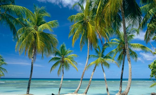 Пенсионеры в путешествиях, отдых в одиночку и роскошные каникулы: как чехи ездили в отпуск в прошлом году