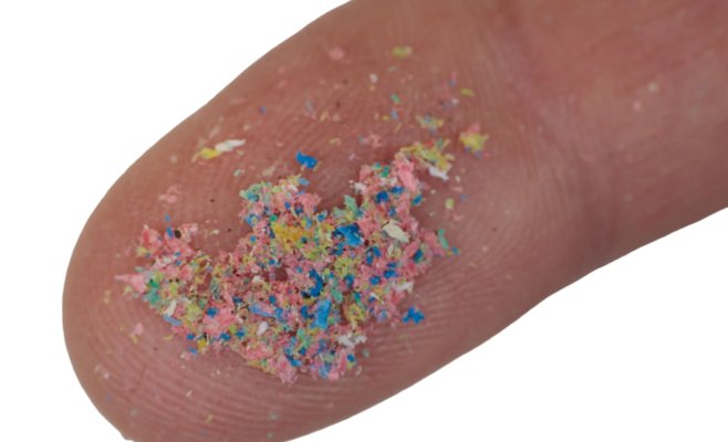 Учёные ставят под сомнение исследования о микропластике в органах человека