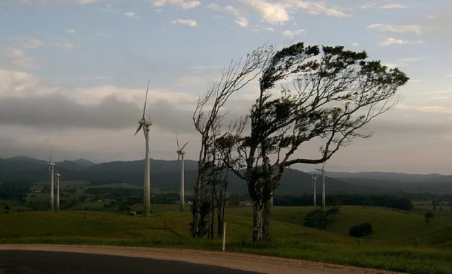 Метеорологи предупреждают о сильном ветре