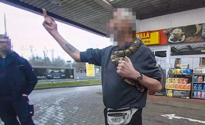 Разводил змей годами терроризировал сотрудников заправки в Пльзени. В суде умолял освободить его из-под стражи
