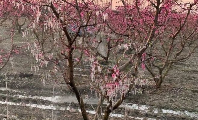 Европу ждёт резкое потепление. Температура поднимется до 20 градусов