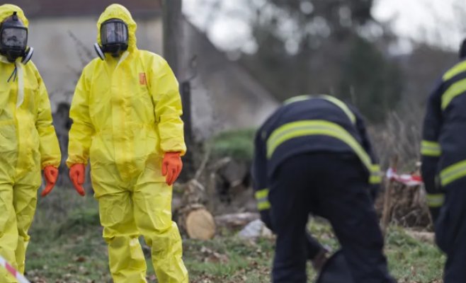 В Краловеградецком крае выявлен птичий грипп на ферме с 230 тысячами кур-несушек