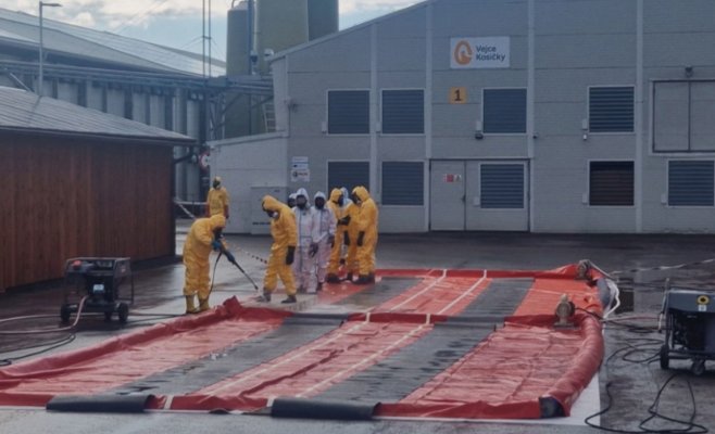 В Кошичках начали уничтожение 236 тысяч кур из-за птичьего гриппа. Яйца могут подорожать