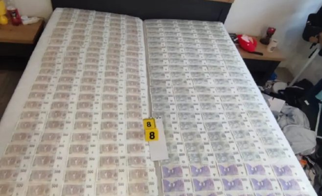 Крупная облава на наркоторговцев на севере Чехии: задержаны восемь человек