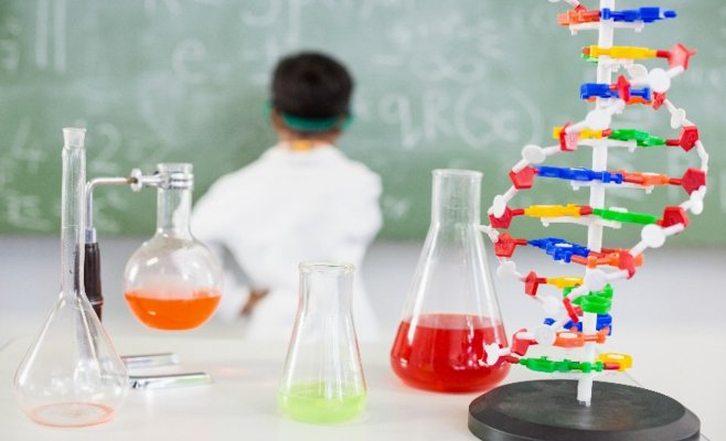 Химический опыт в начальной школе закончился тяжёлыми ожогами: учительнице грозит тюрьма