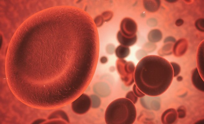 В крови людей растет уровень CO₂: новое исследование предупреждает о токсичной атмосфере через 50 лет