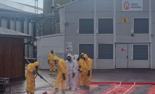 Птичий грипп наступает: в Краловеградецком крае выявлены два новых очага инфекции