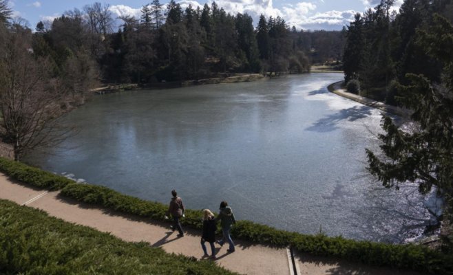 Тепло и солнце возвращаются: прогноз погоды на неделю