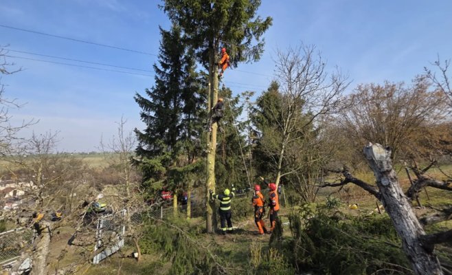 В Кладенском крае рабочего ударило током высокого напряжения: мужчина повис на дереве