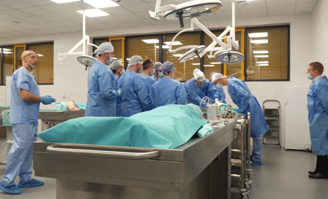 Пробитое сердце — не приговор: чешские врачи учатся спасать жизни на телах доноров