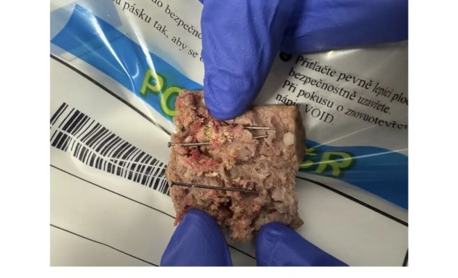 В Писеке неизвестные разбросали сосиски с гвоздями: собака боролась за жизнь