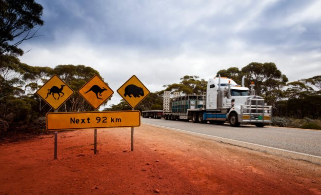 Налог пополам и бесплатный проезд: Австралия начала борьбу с рекордными ценами на бензин
