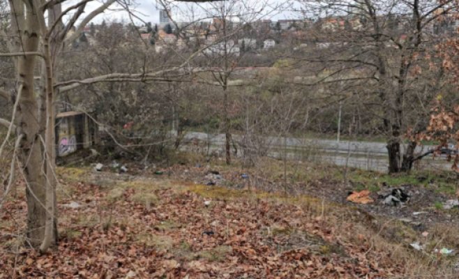 «Лес ужасов» на Новодворской ждут изменения, но лагеря бездомных пока остаются