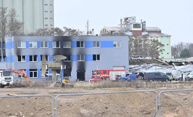 Задержанную в Словакии американку могут выдать Чехии за поджог завода в Пардубице