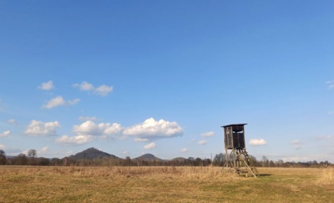 Воскресенье едва не стало первым летним днем: не хватило всего одной десятой градуса