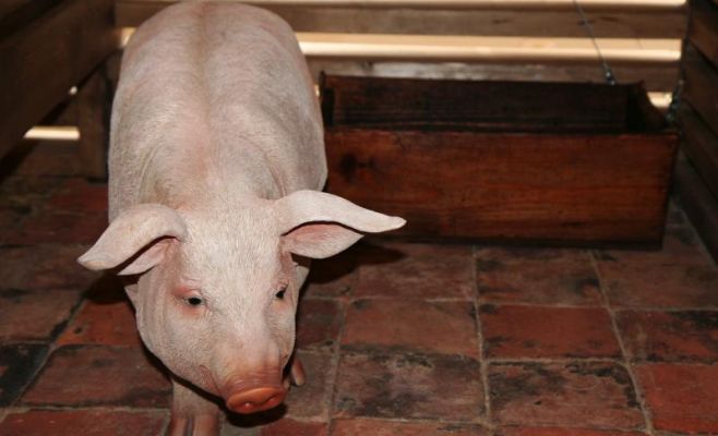 Выставка «Деревня»