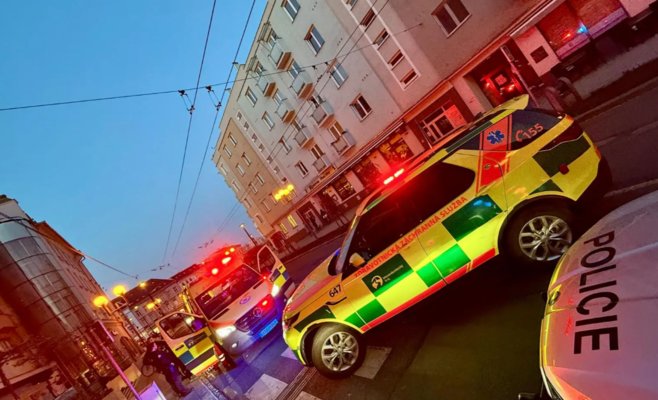 В Опаве мужчина спасал кошку с карниза и сорвался вниз: он получил тяжелую травму головы