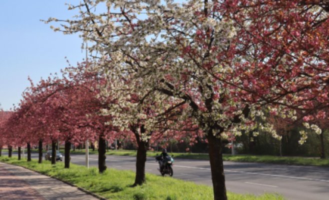 В субботу выше 20 градусов, а затем — резкое похолодание