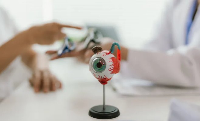 Новый вирус морских животных может поражать глаза человека: эксперты заявляют, что случаи заражения остаются нераспознанными