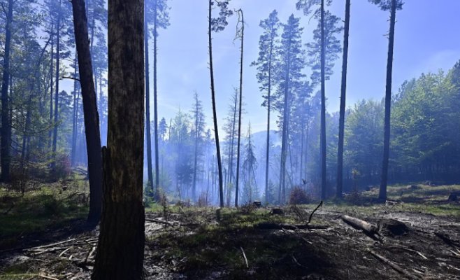Пожар в «Чешской Швейцарии» всё ещё не локализован, на помощь прилетят вертолёты из Словакии
