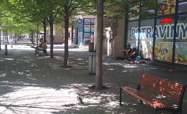 Коалиция отступает от планов упростить вырубку деревьев в городах