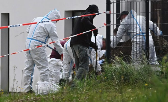 Польская пара нашла под дорожкой к новому дому останки 29 нерожденных детей