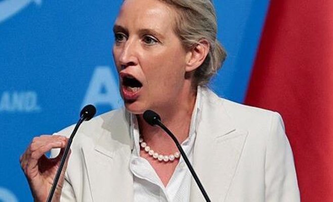 Сопредседатель AfD Вайдель предрекла партии победу на выборах, но признала раскол по вопросу ЛГБТ-семей