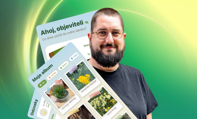 Восьмилетняя дочь придумала приложение — а её отец, глава Nobig.deals, реализовал идею за 50 минут