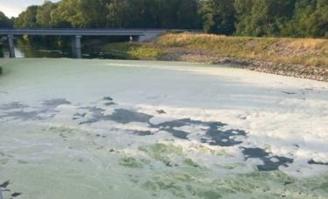 В реке Дые под Новомлинскими водохранилищами вода превращается в «кашу» из-за цианобактерий — под угрозой рыба