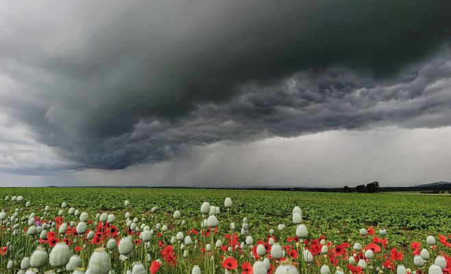 Жара в Чехии закончится: на выходных похолодает на 5-10 градусов