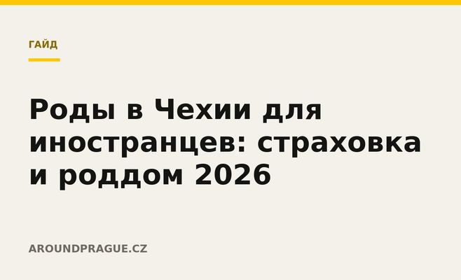Роды в Чехии для иностранцев: страховка и роддом 2026
