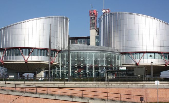 ЕСПЧ: полиция в Теплице применила чрезмерную силу — Чехия должна выплатить компенсацию семье погибшего
