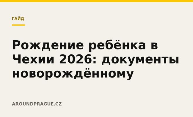 Рождение ребёнка в Чехии 2026: документы новорождённому