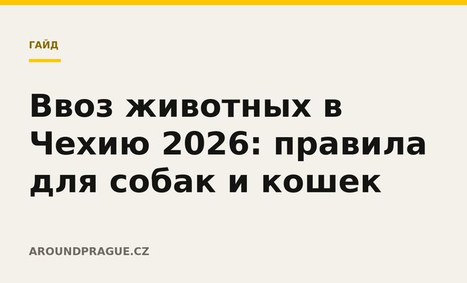 Ввоз животных в Чехию 2026: правила для собак и кошек