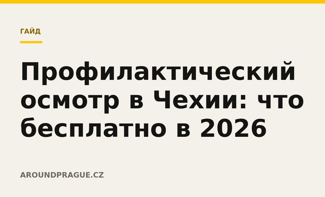 Профилактический осмотр в Чехии: что бесплатно в 2026