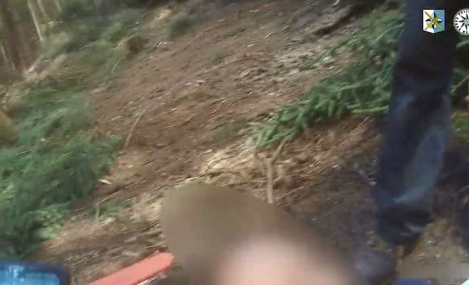 В Чехии полиция помогла спасти раненого лесоруба в горах