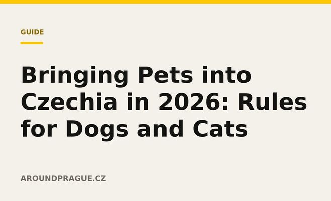 Bringing Pets into Czechia in 2026: Rules for Dogs and Cats