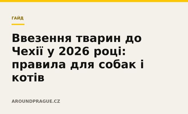 Ввезення тварин до Чехії у 2026 році: правила для собак і котів