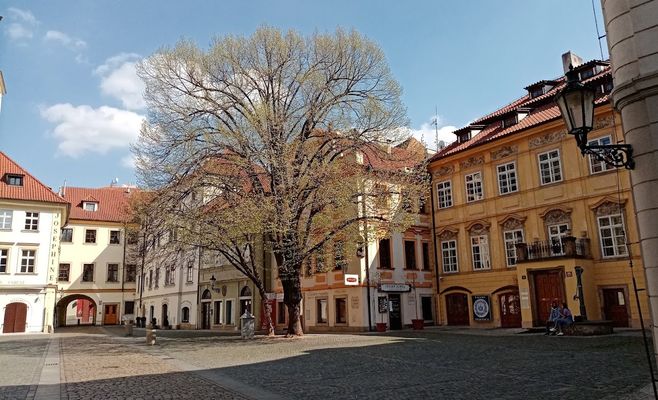 7 скрытых двориков и тихих уголков Старого города Праги, куда не водят туристов