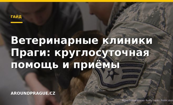 Ветеринарные клиники Праги: круглосуточная помощь и приёмы