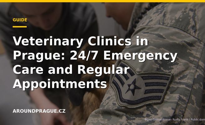 Veterinary Clinics in Prague: 24/7 Emergency Care and Regular Appointments