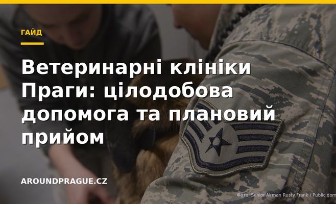 Ветеринарні клініки Праги: цілодобова допомога та плановий прийом