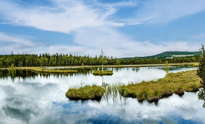Національний парк Шумава: путівник 50 найкрасивішими місцями гірського краю